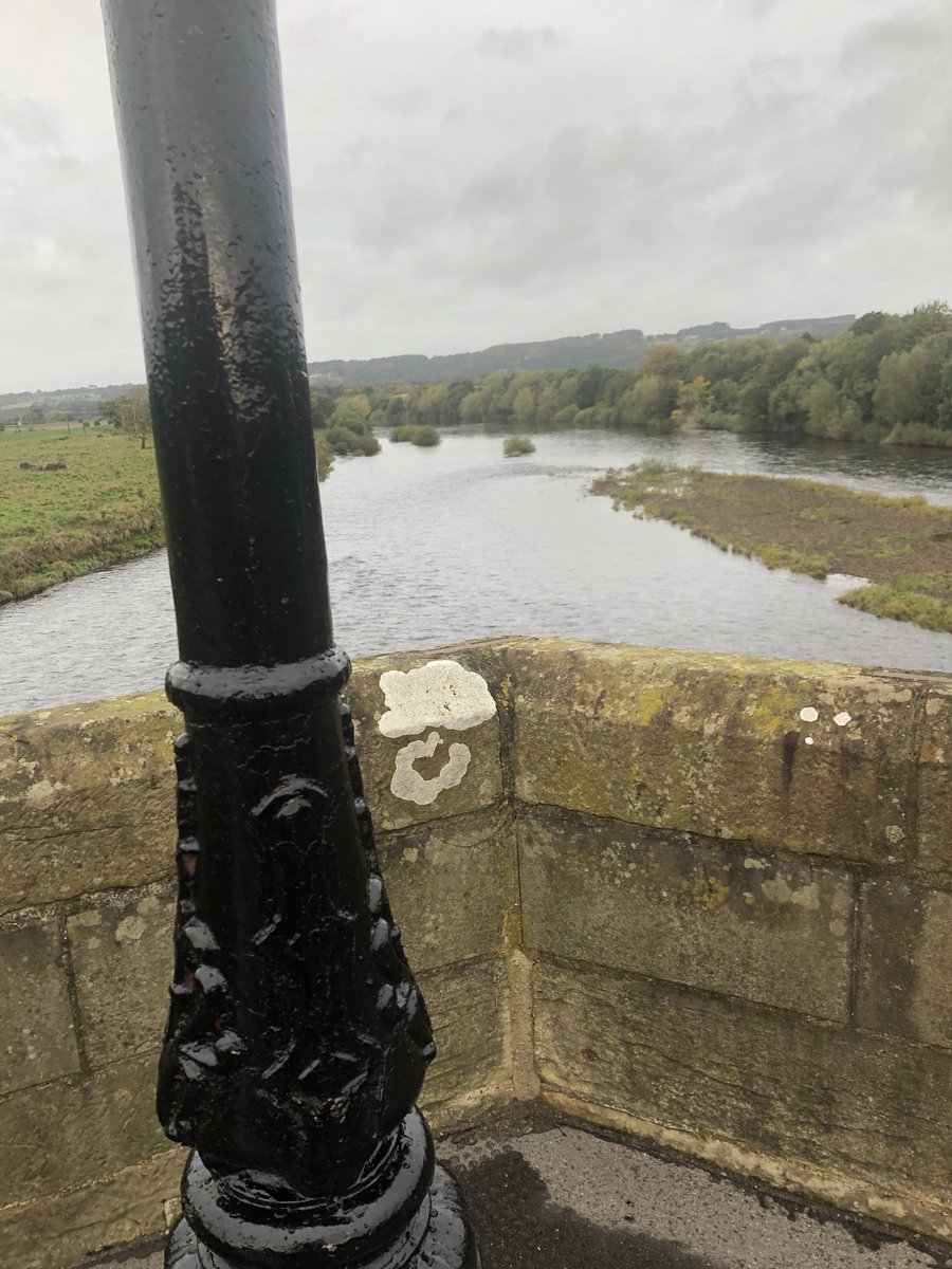 Big thanks to <a href="/N_landCouncil/">Northumberland County Council</a> for painting the heritage lamp posts on our historic bridge in #Corbridge whilst the road was closed for resurfacing. Up a ladder in the middle of the night during #customerserviceweek. Dedication!