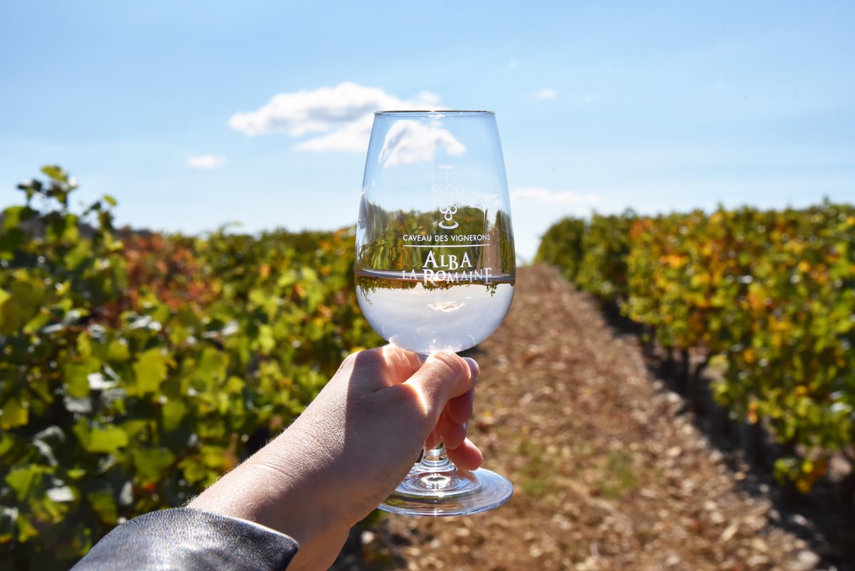 Mariage entre musique et vin : découvrez Music E Vignes dans une quinzaine de caves en #Ardèche avec des concerts et des accords mets&amp;Vins. Une ambiance musicale et gourmande inoubliable. #FascinantWeekEnd du 17 au 20 octobre fascinant-weekend.fr