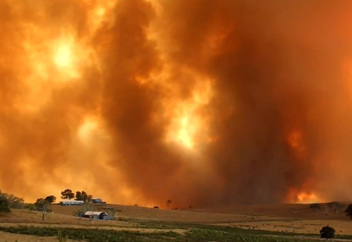 NSWRFS's tweet photo. Over the last few days we've some of the worst nature can offer - but also some of the best in human nature. Thank you to all firefighters from #NSWRFS, @FRNSW, @OEHmedia and Forestry who have worked so hard to protect communities - in many cases, their own communities. #nswfires https://t.co/eVq9ojxSRi