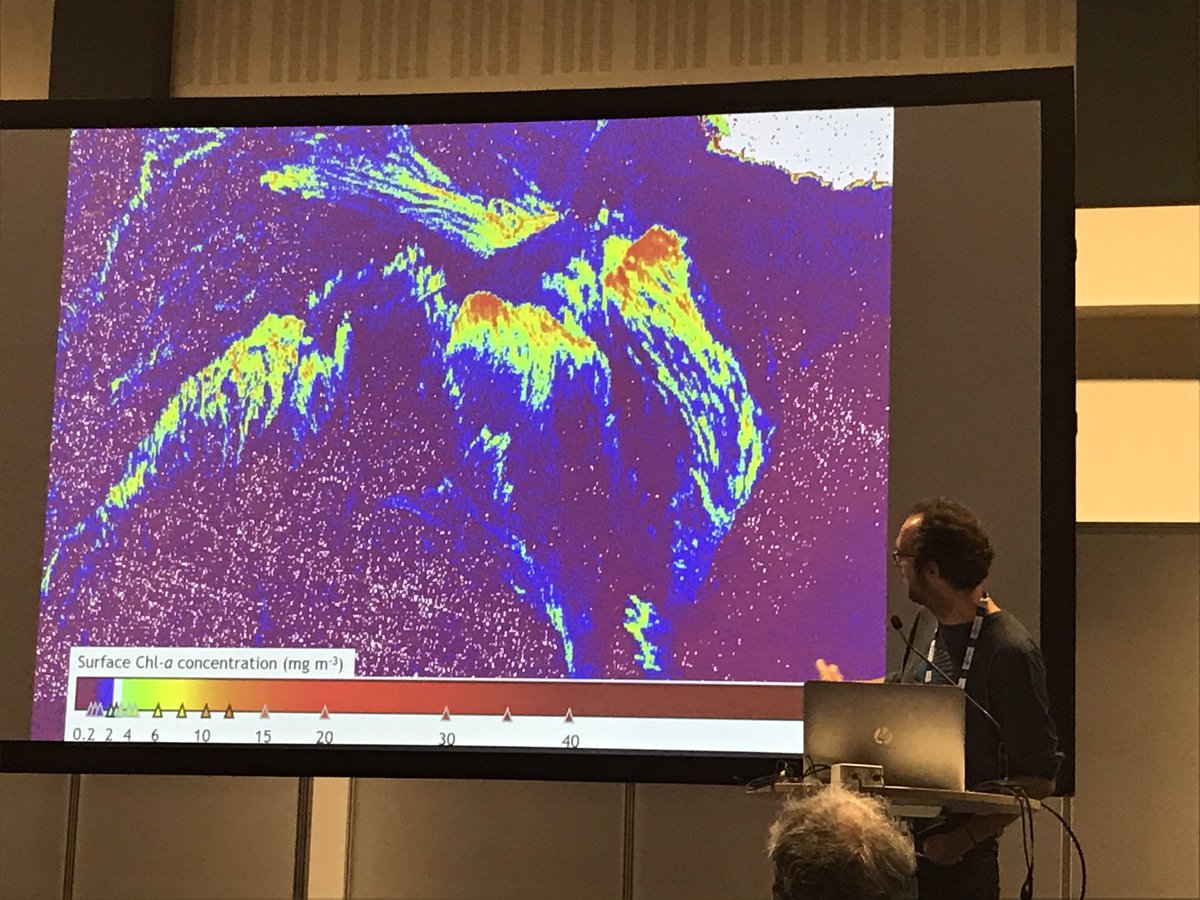 Really interesting presentation by @Pierre_Gernez  @UnivNantes on high resolution satellite remote sensing of red tides in shellfish farming in coastal waters. #aquaculture #AE19BER