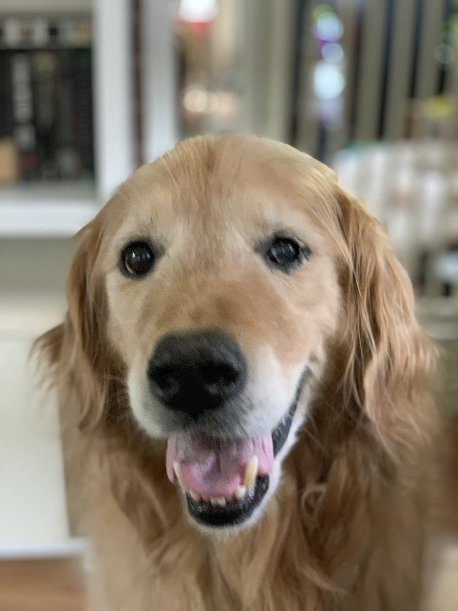 Boyfren Riley tweet media