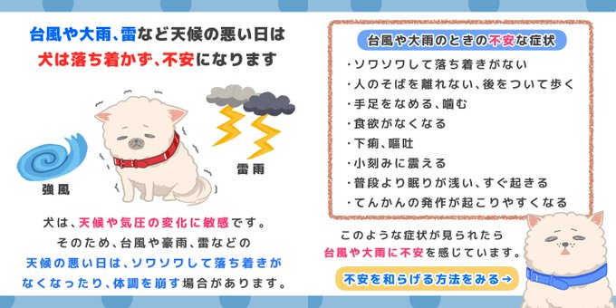 犬のごはん塾のtwitterイラスト検索結果