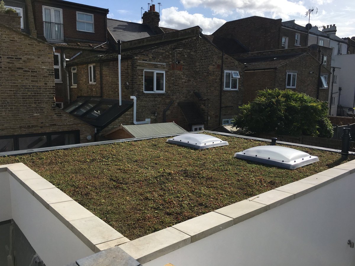 Brick slips and Sedum roof are on at our SIPS Eco site in Shepherds Bush, London! #sips #sipseco #sedumroof #newbuild #ecobuild