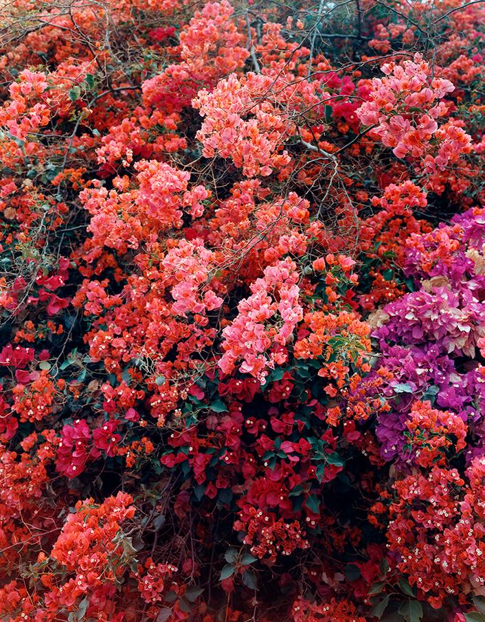Como cada jueves desde hace unos meses os proponemos una exposición. Hoy os queremos recomendar la del fotógrafo alemán Thomas Struth en el <a href="/MuseoGuggenheim/">Guggenheim Bilbao</a> -> shorturl.at/bCNV9 🍂 #leborgabala #leborgabalacreativeproposal