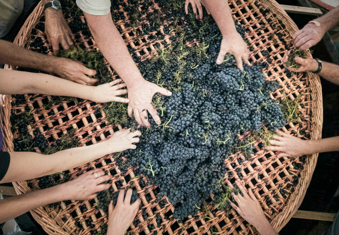 vinetsociete's tweet photo. Le nouveau site institutionnel de Vin &amp; Société est maintenant en ligne. Vous êtes un média, un institutionnel ou un professionnel ? Trouvez facilement le contenu qui vous intéresse ! https://t.co/VcL92tgy2E https://t.co/XdAINVSMkD