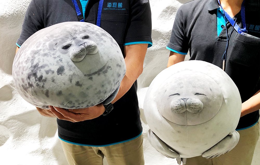 海遊館のリアルアザラシクッションさんが外の世界を満喫するご様子が楽しそうでかわいい サングラスめっちゃ似合う Togetter 海遊館のリアルアザラシクッションさんが外の世界を満喫するご様子が楽しそうでかわいい サングラスめっちゃ似合う Togetter