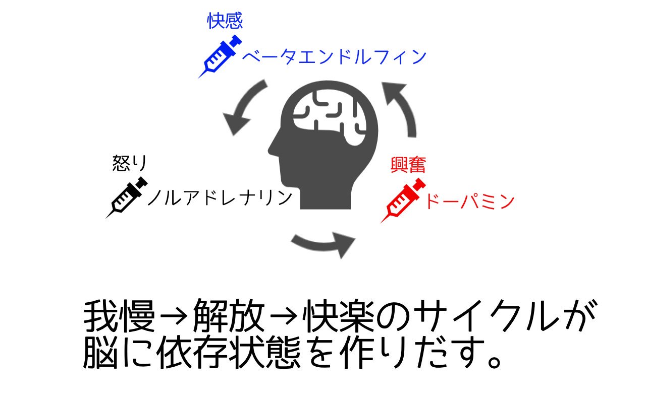 禁パチ社長 パチンコで依存症になる仕組みを図解してみた パチンコ パチンコやめる 依存症 牙狼 シンフォギア エヴァ 図解 T Co Uz3ilwjx0b Twitter