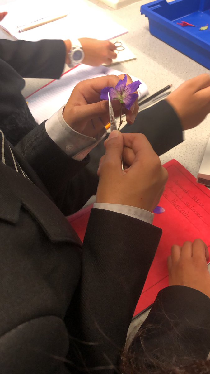 Dmascience1's tweet photo. https://t.co/8niZK2cqc1