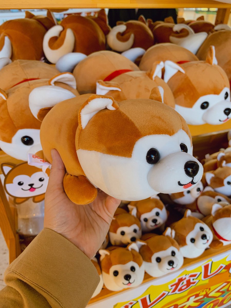 【希少】ハッピー秋田犬　ぬいぐるみくじ　特賞&4等 希少】ハッピー秋田犬 ぬいぐるみくじ 特賞&4等