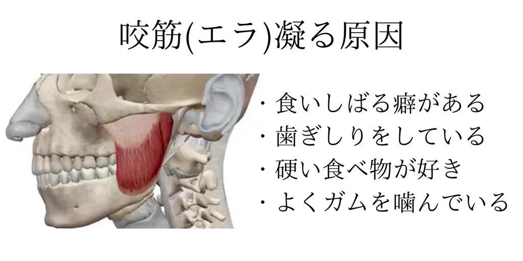 1日数回で小顔になれる⁉効果的なマッサージ方法を紹介！！