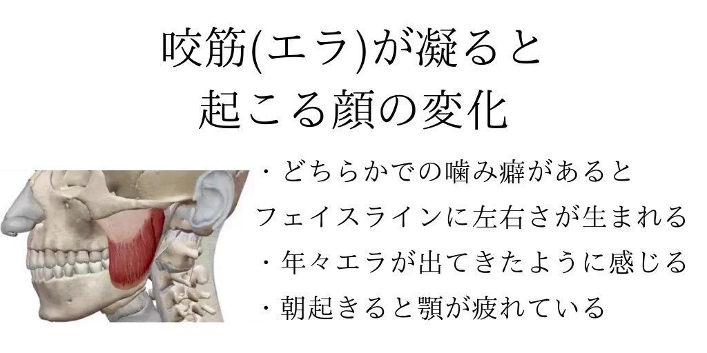 1日数回で小顔になれる⁉効果的なマッサージ方法を紹介！！