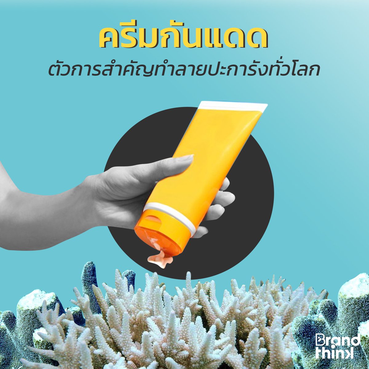 ReReef1's tweet photo. ขอบคุณ BrandThink ที่ช่วยเผยแพร่ความรู้เรื่องนี้ออกไปให้กว้างขวางมากขึ้น ครีมกันแดดยังคงใช้ได้และจำเป็นต้องใช้เพื่อปกป้องอันตรายจากแสงแดด เพียงแต่ต้องเลือกแบบที่เป็นมิตรต่อปะการัง ครีมกันแดดของ ReReef ถูกพัฒนาขึ้นมาก็เพื่อสิ่งนี้ ใช้ได้อย่างปลอดภัยแน่นอน ☺️☺️ #rereef #reefsafe https://t.co/HNQ15KchLG