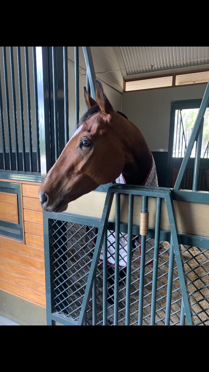 <a href="/BlindFreddy2000/">Blind Freddy</a> <a href="/Bruntonracing/">Scott Brunton</a> 🤞🤞🤞🤞🤞