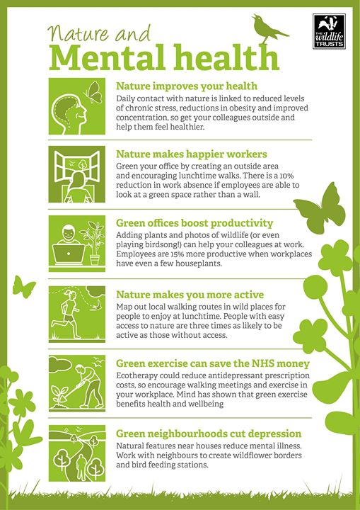 visitBrockholes's tweet photo. It's okay not to be okay 💚 

Getting outdoors and being with nature can make us happier and healthier ☺️🐦🍂🌱

#WorldMentalHealthDay https://t.co/zHFSaFlzfQ