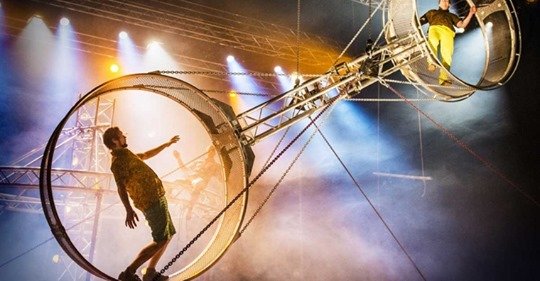 Sky High Trampoline tweet media