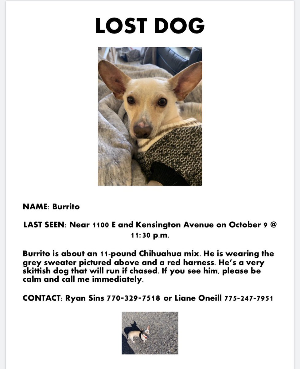 ryan_kor_sins's tweet photo. If any lovely friends in the Salt Lake Area would be willing to look for Burrito/ put up these flyers around the Salt Lake Area, I would be super grateful. We are out of the country, so we are trying everything we can to help Burrito be retrieved by our friends. https://t.co/qsynO97wEQ