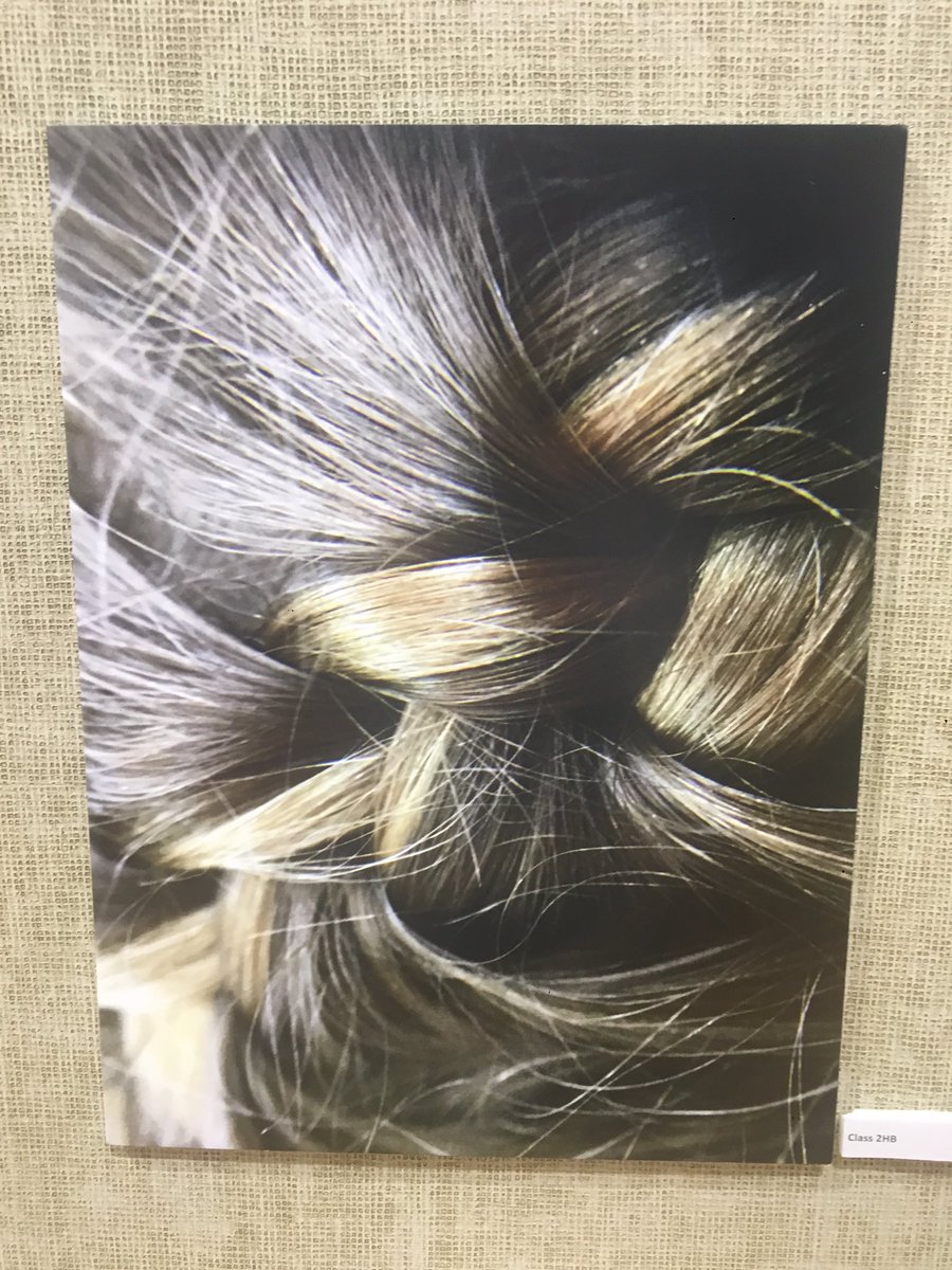 amarshallteach's tweet photo. Excellent images from ‘a different lens’ STEAM project @doverct #dcissg https://t.co/XtuEVLPsj5