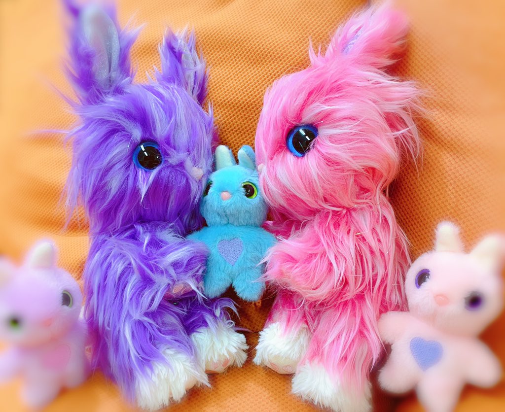 whoareyou ファミリーにウサちゃん登場！ トイザらスにいるから探して