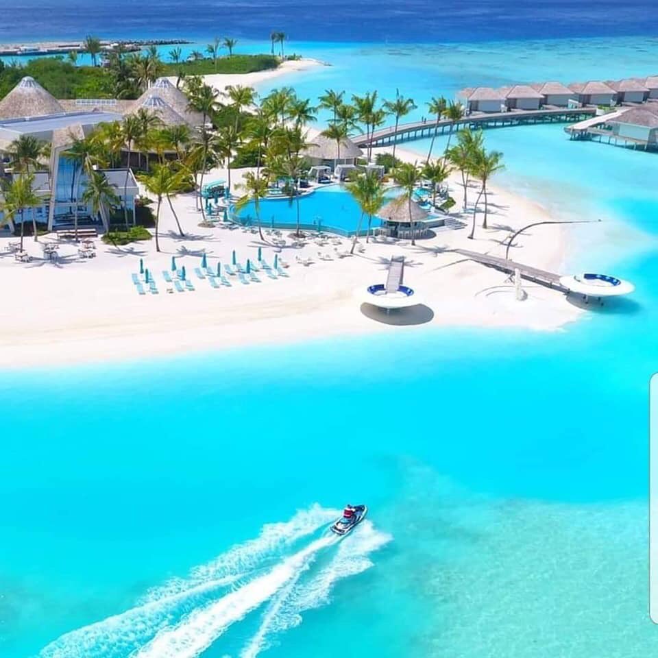 Bni Vision tweet media