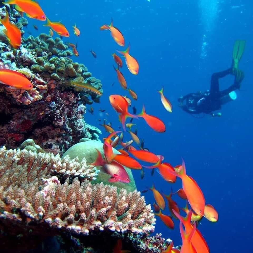 Bni Vision tweet media