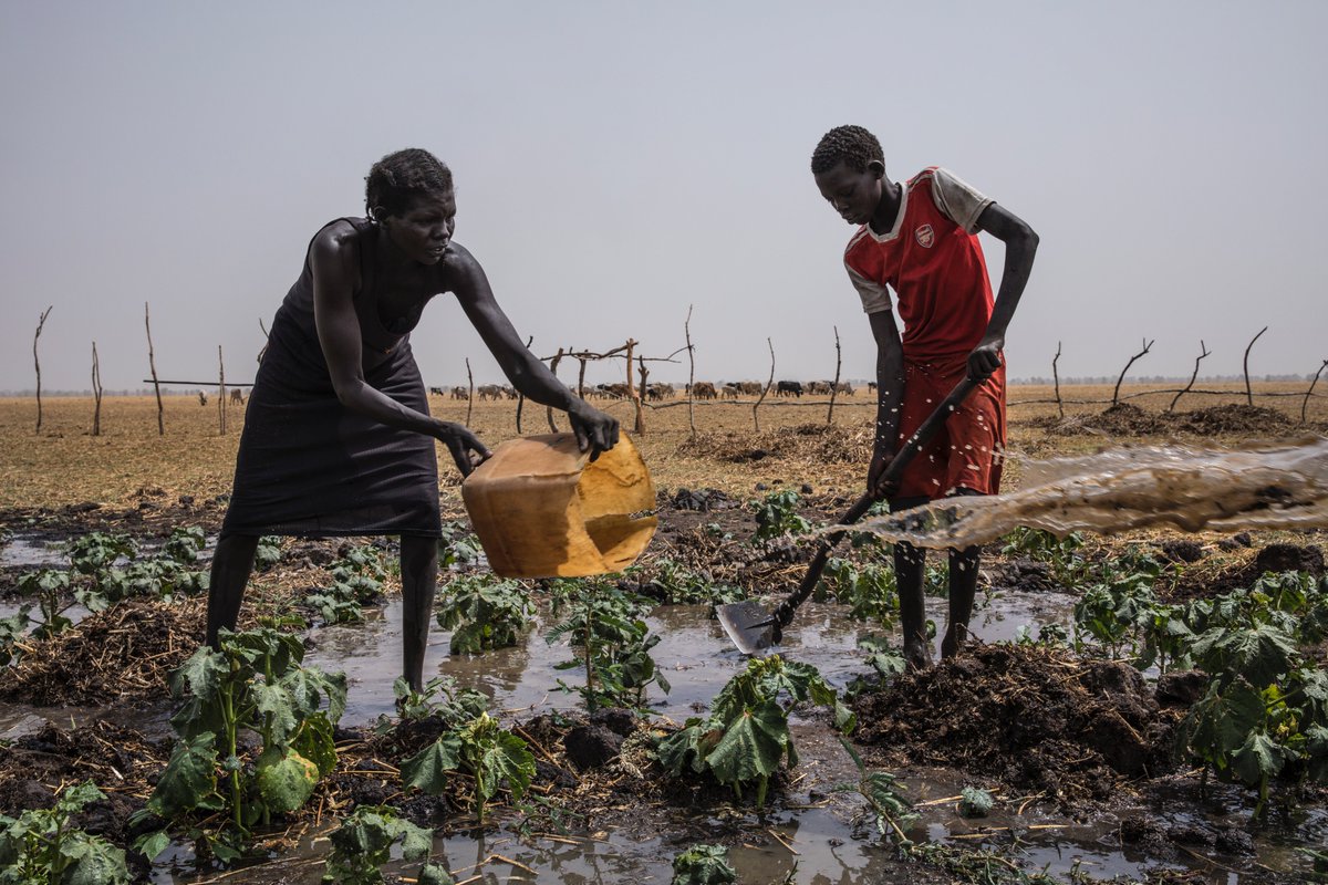 WFPChief's tweet image. #ClimateChange is hurting our ability to feed the world’s hungry. We need to change lives by helping people to adapt to the worst effects of disasters like cyclones and droughts.

Here is my piece in the new #superyear series #2020: bit.ly/310HQSn