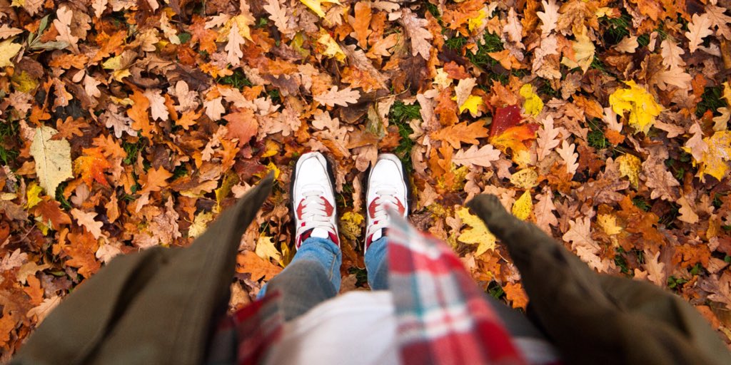 Time to sort the garden out? 🏡

🍁 #rakes 🍁 #brushes
🍁 #gardentools 🍁 #spades
🍁 #shovels 🍁 #flexibletubs
🍁 #gardeninggloves 🍁 #lawncare

#loveautumn #leaves #castlelocksdiy #antrimroad #northbelfast @BelfastHourNI @NBelfasthour 

castlelocks.net
📞02890 741418