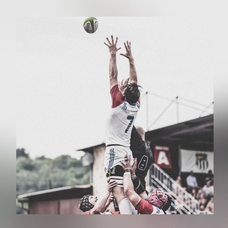 Optimuscp tweet media