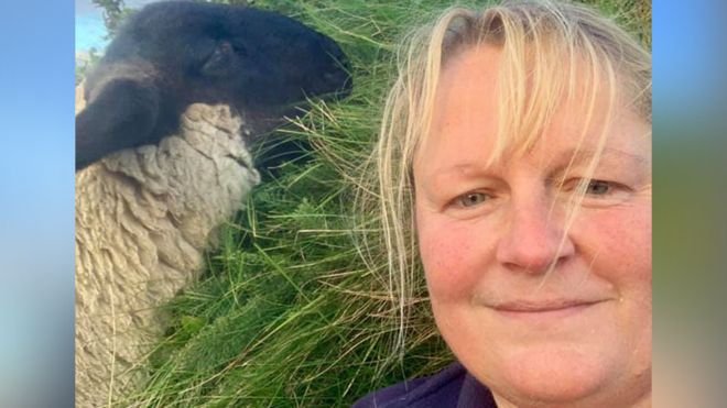 BBCNorthEast's tweet image. "This wee lamb saw me and came running like a bullet": Crofter's 542-mile trip to be reunited with pet lamb in Aberdeenshire 🐏 bbc.co.uk/news/uk-scotla… #Strichen