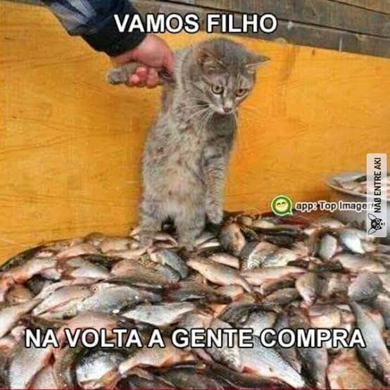 kekajhs's tweet image. Esse governo é tão 5ª série que até no truque mais velho do mundo eles tão passando vergonha
#iloveyoutrump