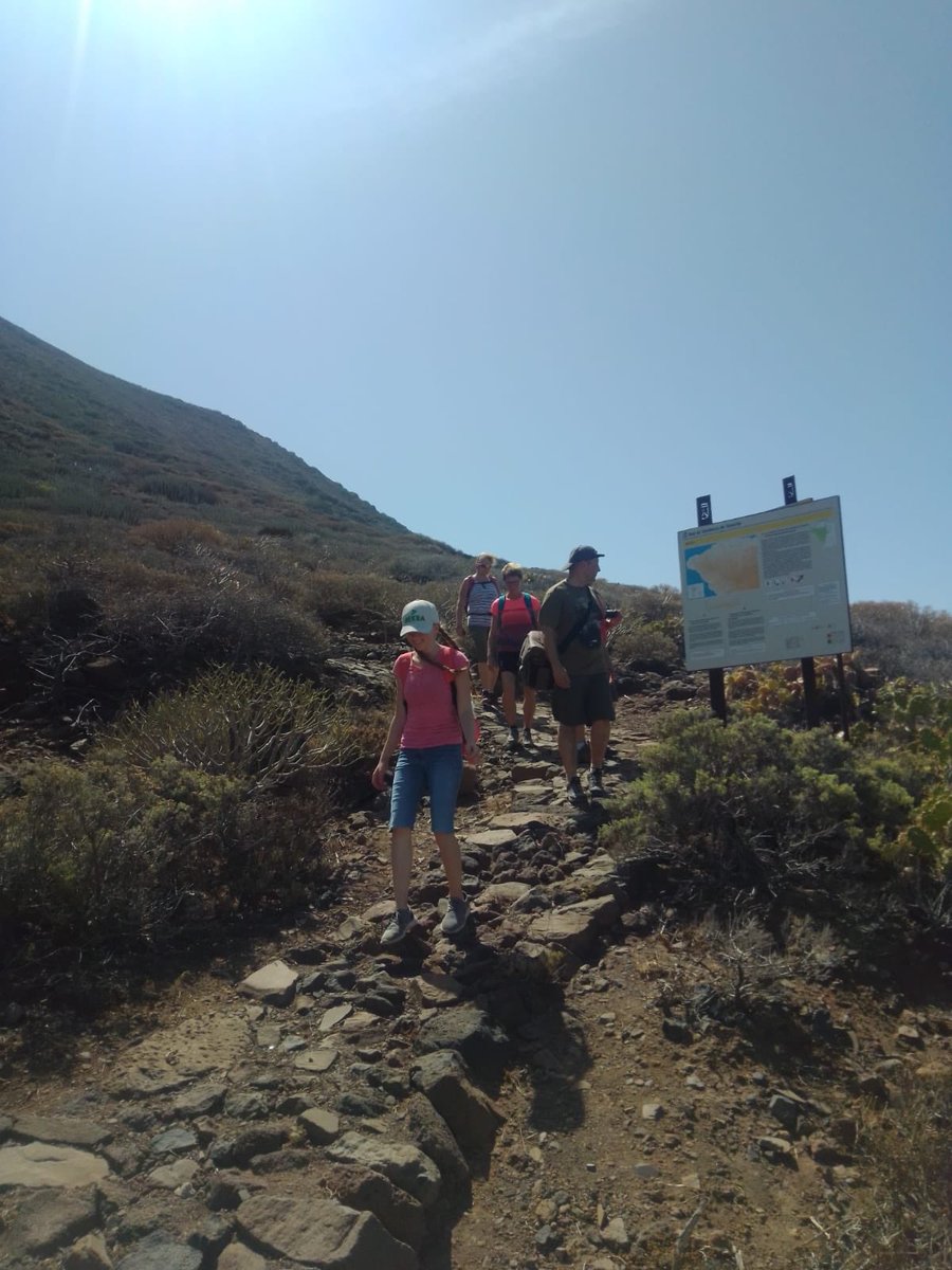 NaturExperience's tweet photo. Disfrutando de los Secretos de las montañas de Teno
Información y reservas: https://t.co/MBknYH3zmB
#latitudtenerife #elcardon #naturexperience #oldpeak #salewa #mountainstore #alberguedebolico #discoverteno #bolico #teno #volcanoteide #refugioaltavista #telefericoteide https://t.co/Pgr0Y2xhVe