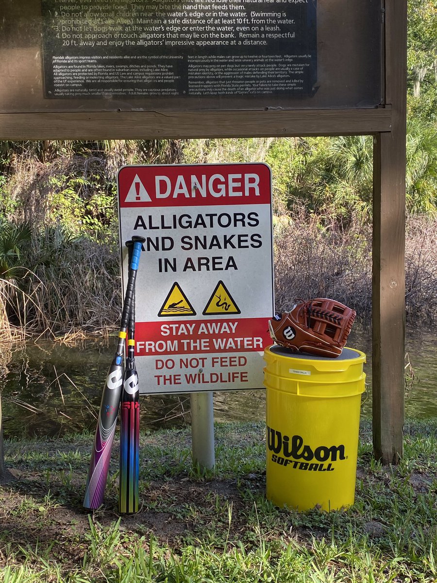 GatorsSB_EQ's tweet image. Took some of our new @WilsonSportingG @DeMariniFP products around @UF campus to see the sites! #OneWithNature #BewareOfGators #WeHadFun #GatorsEatTigers