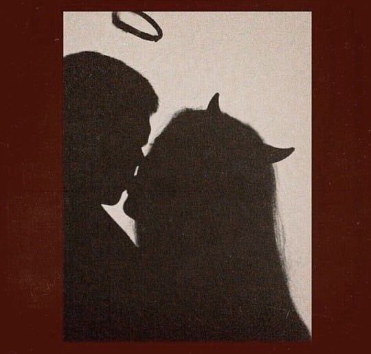 𝐝𝐚𝐫𝐰𝐢𝐧🥀 tweet media