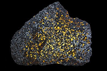 SynthesysEU's tweet image. For the first time, SYNTHESYS will offer #VirtualAccess to #collections through #digitisation, responding to proposals submitted by the research community. Our Ideas Call is open until 22 November. Read more here: 

synthesys.info/news-events/vi…