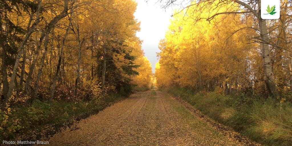 NCC_CNC's tweet photo. Discover @ScoutsCanada’s top picks of NCC #NatureDestinations across the country. https://t.co/K0XtUda13c #LandLines #GetOutside #ExploreMore https://t.co/SLVX5fn3iG