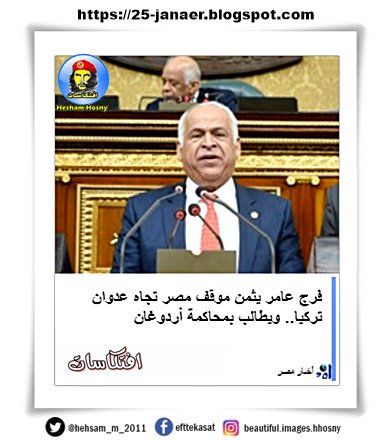 فرج عامر يثمن موقف مصر تجاه عدوان تركيا.. ويطالب بمحاكمة أردوغان