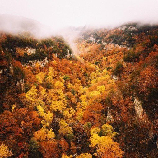 coffee_n_mtns's tweet photo. Fall road trip 🍂 https://t.co/BK5PzUReN7