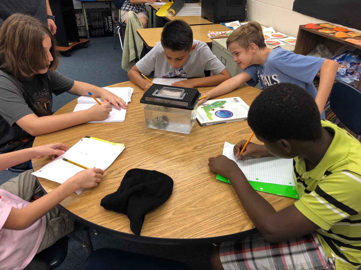 ShellMuseum's tweet image. Future scientists doing what they do best... observing! @TigersSkyline @LeeSchools