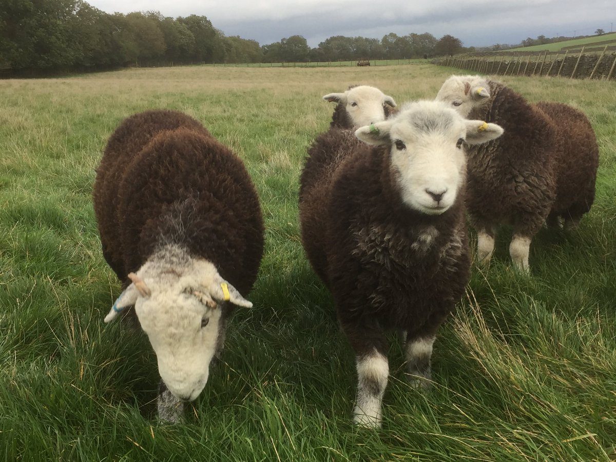 Grinton smallholder tweet media