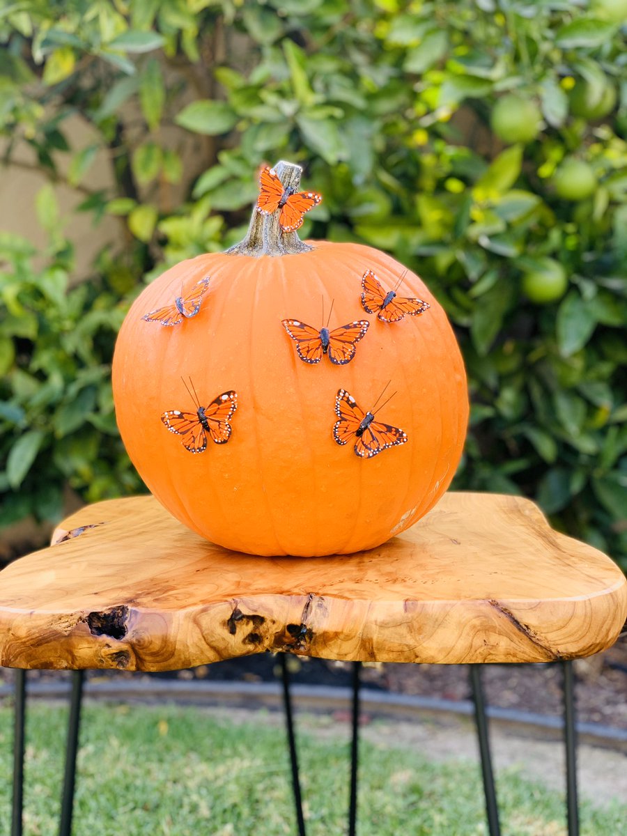 vprpartypodcast's tweet photo. Guess who this PUMPkin is?????? #PUMPkin #pumprules #vanderpumprulesparty https://t.co/6YnUClsRIK