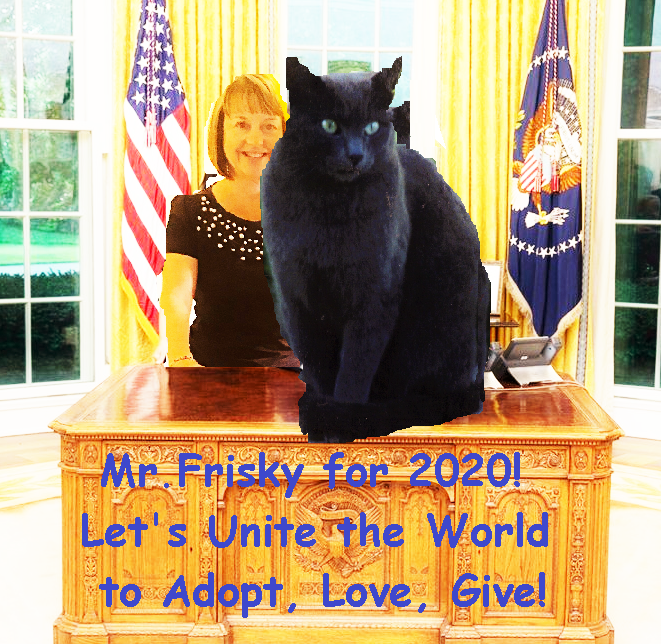 AskMrFrisky's tweet photo. Mr.Frisky's #Presidential #campaign policies will #IRS rules change: #pets will be considered #tax #dependents. #Veterinary care #petmeds #adoption fees #microchips will be valid #deductions on #1040form. More policies on https://t.co/F94g5OFavg #MrFrisky2020 https://t.co/a7kYbqxWtP