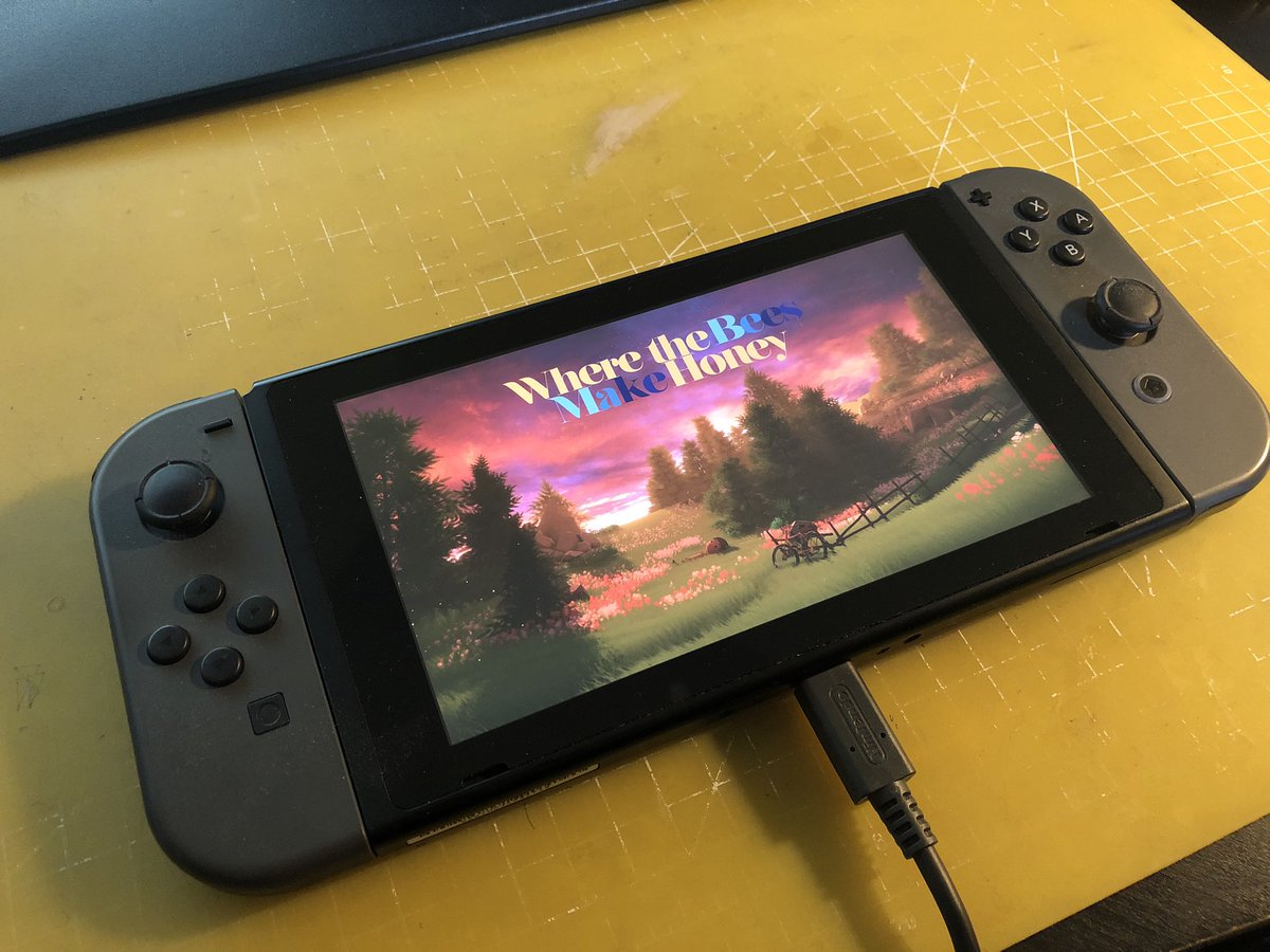 nintendo switch honey discount