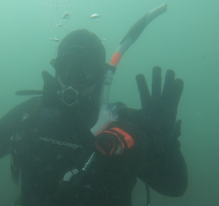 Andrew McCue tweet media