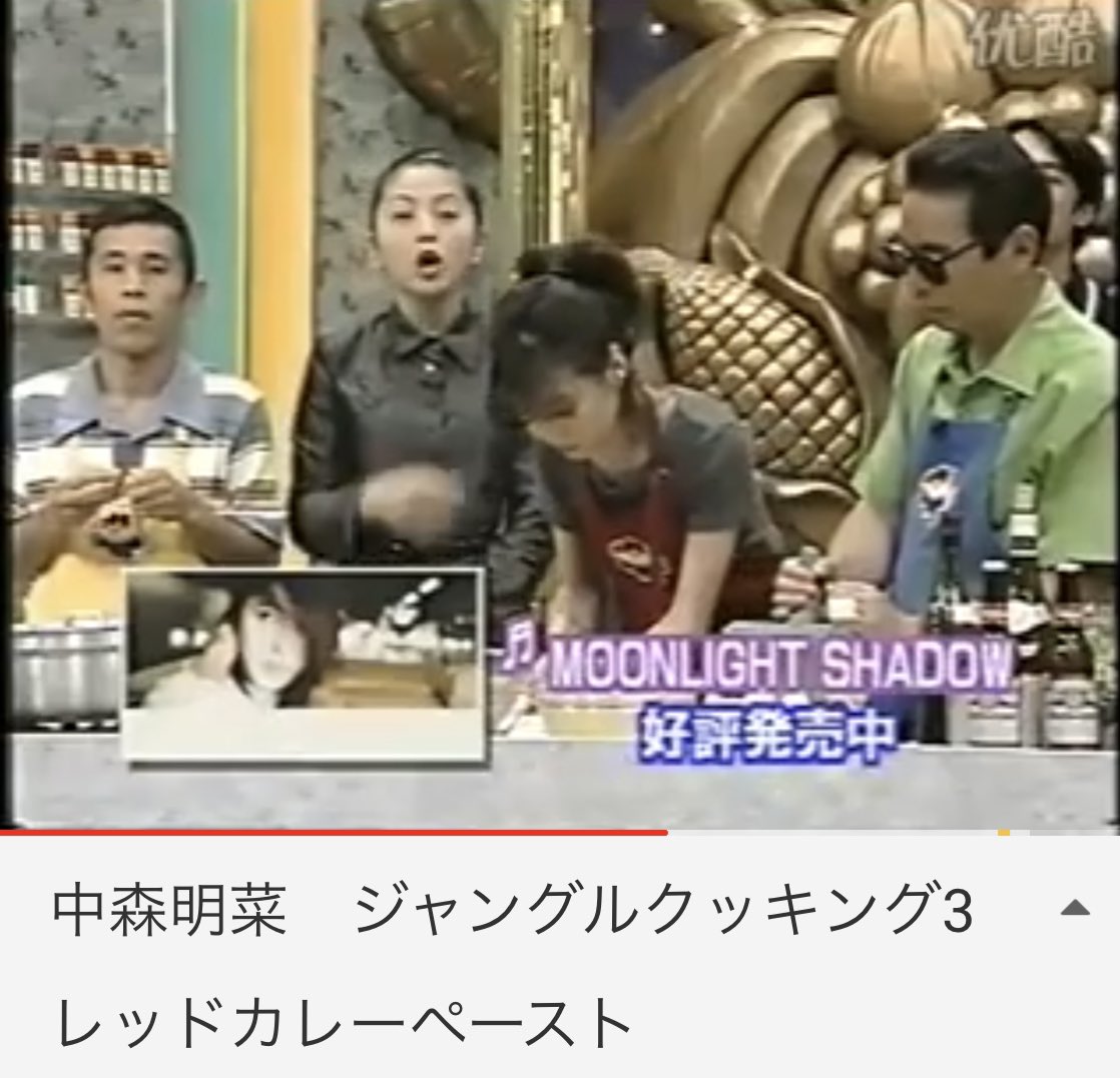 中森明菜　ハウンドレッドディズ