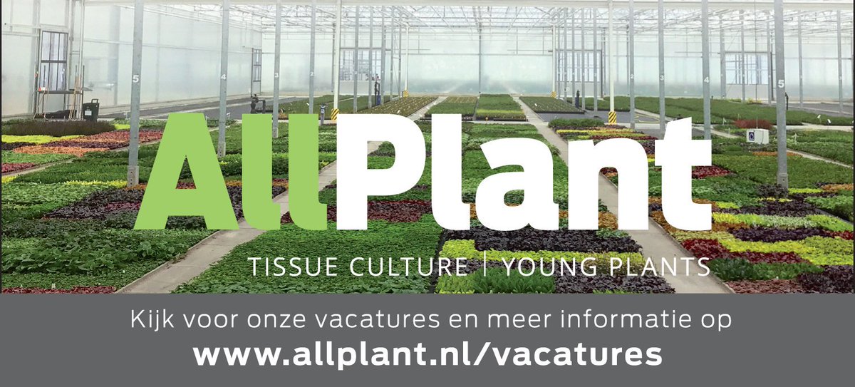 Wij zien jou graag groeien! Ben jij de ondernemende #veredelaar vaste planten die wij zoeken? Of herken jij je in het profiel van #Teeltmedewerker / #Gewasverzorger? 
Meer info: tinyurl.com/y3o2ern8

#vacature #gekopplanten #heerhugowaard #weefselkweek #veredeling #vasteplant