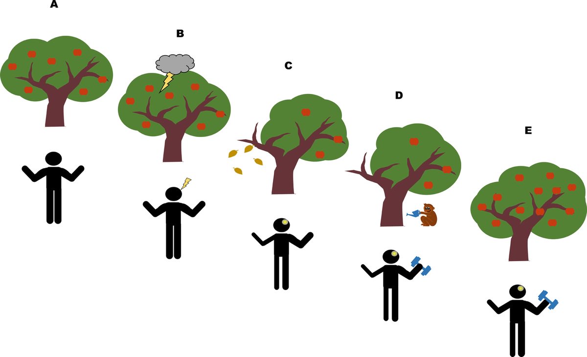 ESSRonline's tweet photo. How do arms give the legs “a helping hand” in walking for people with stroke? Read this free ESSR article and Journal Club questions for more: https://t.co/xPAqkPjUlu
Article by Sun and @E_PaulZehr
#OpenArticle https://t.co/WMvDoulQXV