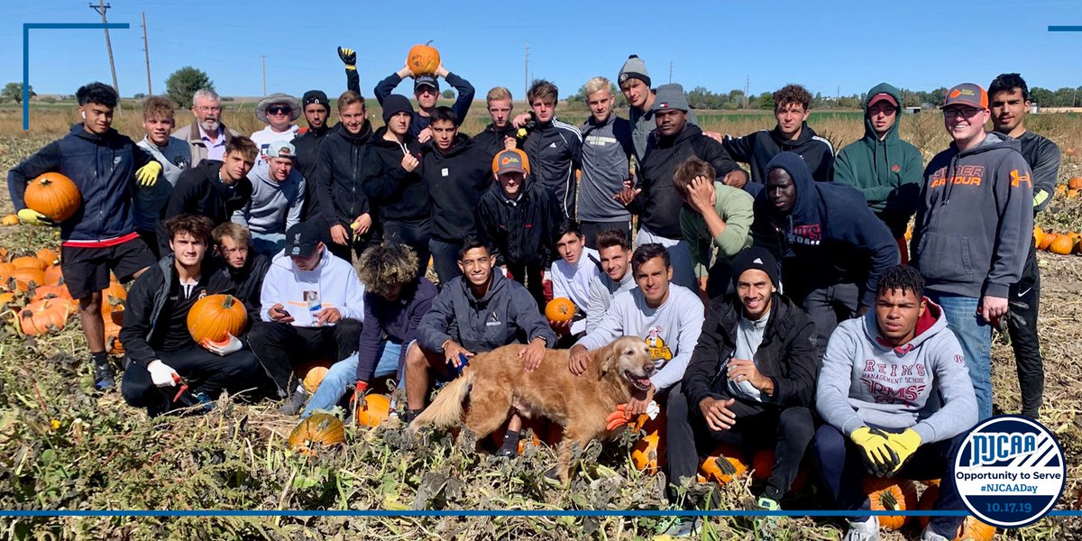 NJCAA's tweet image. The Northeastern men&apos;s soccer program got a head start on its #NJCAADay service project by lending a hand to Merino, CO pumpkin harvesters.

How will your program give back to its community on October 17?

Learn how you can get involved today: njcaa.org/NJCAA_Day/index