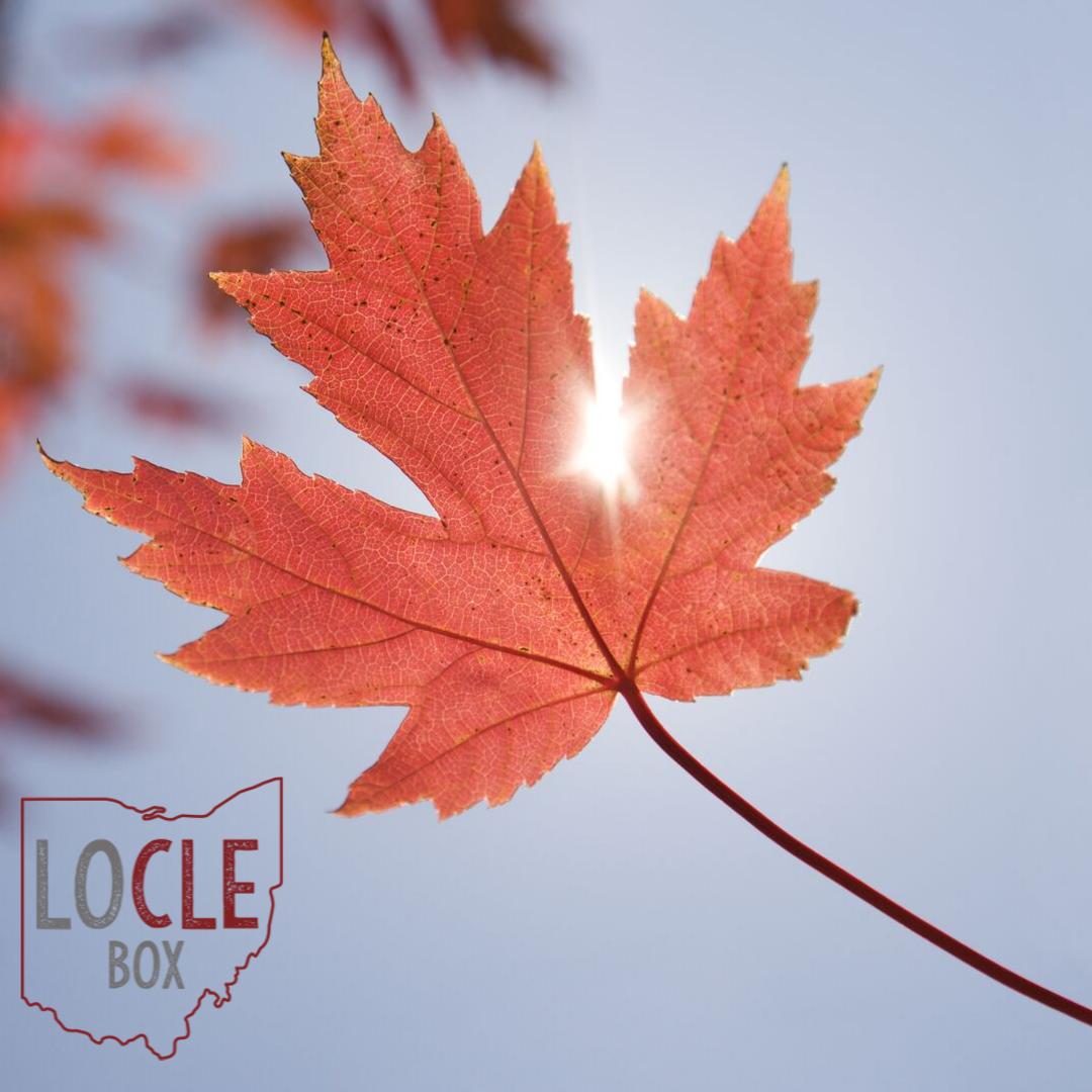 Ohioans love 🍁October!🍁 October equals Fall. Fall means it’s time for the annual pumpkin roll in Chagrin Falls, the Pumpkin Show, and Oktoberfest’s galore!

LOCLE Box offers custom-made gift boxes that capture the Autumn feeling
Contact Deby to learn more at 216-870-1365.