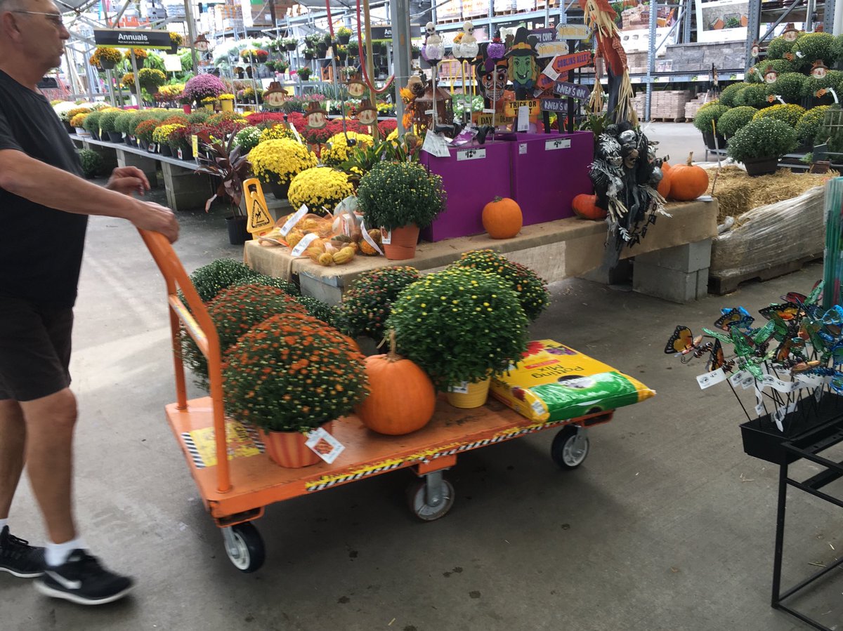 Karen Codair (@ppskare) on Twitter photo Rolling OTD @THD 3609 in Wilm NC. FALLing in love with garden again! 73* & overcast Welcome to the Coast, Fall! <a href="/RichRiceTHD/">Rich Rice</a> <a href="/scottburtonthd/">Scott Burton</a> <a href="/JimSimmonsHD/">Jim Simmons</a> <a href="/Stephen_E_Camp/">Stephen Camp</a> @PPSinHD Rolling OTD @THD 3609 in Wilm NC. FALLing in love with garden again! 73* & overcast Welcome to the Coast, Fall! <a href="/RichRiceTHD/">Rich Rice</a> <a href="/scottburtonthd/">Scott Burton</a> <a href="/JimSimmonsHD/">Jim Simmons</a> <a href="/Stephen_E_Camp/">Stephen Camp</a> @PPSinHD