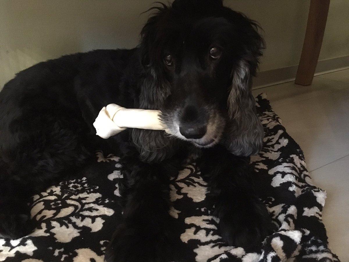 ๐
ฑ๐
ด๐
ด๐๐
ป๐
พ๐
๐
ด๐๐ tweet media