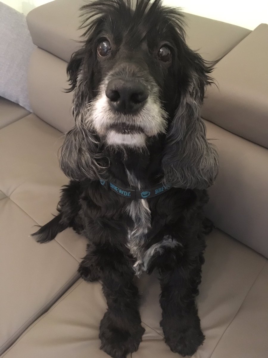 ๐
ฑ๐
ด๐
ด๐๐
ป๐
พ๐
๐
ด๐๐ tweet media